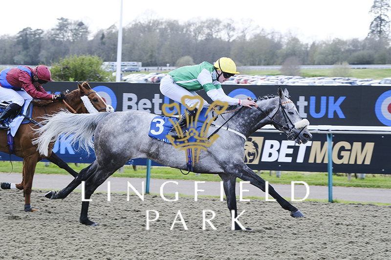 LingfieldPark tweet picture