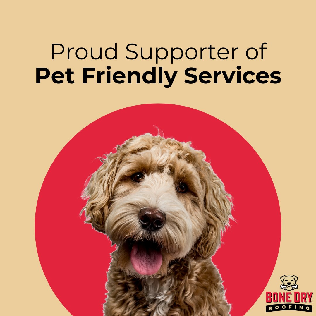 As you may have guessed from our logo, we're a family of animal-lovers and we love providing all kinds of support to animal welfare organizations across the Midwest.

We're proud to support pet friendly services!

#BoneDry #BoneDryRoofing #AnimalWelfare #FurryFriends