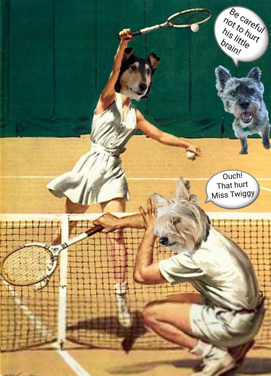 jennystape tweet picture