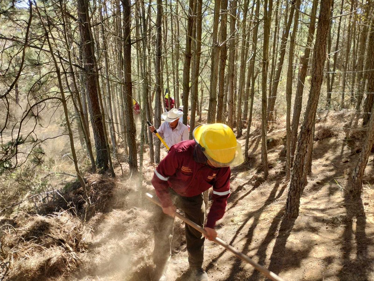 Preparations are currently underway to safeguard Llanos de Apan from fire hazards during this dry season. Developed in partnership with @hellotoroto and @mercadolibre, this initiative aims to combat soil erosion and restore a critical aquifer in Mexico’s Hidalgo State. #Pachama