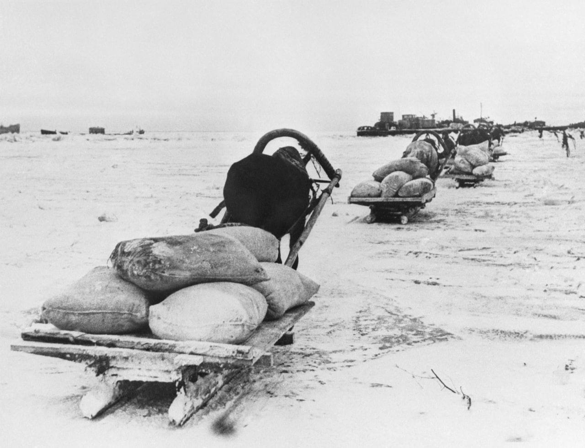 📅 #OTD in 1942 Soviet partisans secretly delivered a food cart to besieged Leningrad.

They accomplished the impossible: walked 120 km behind the enemy lines and delivered 42 tonnes of food supplies, saving the lives of many Leningraders.

#TrueHeroes #WWII