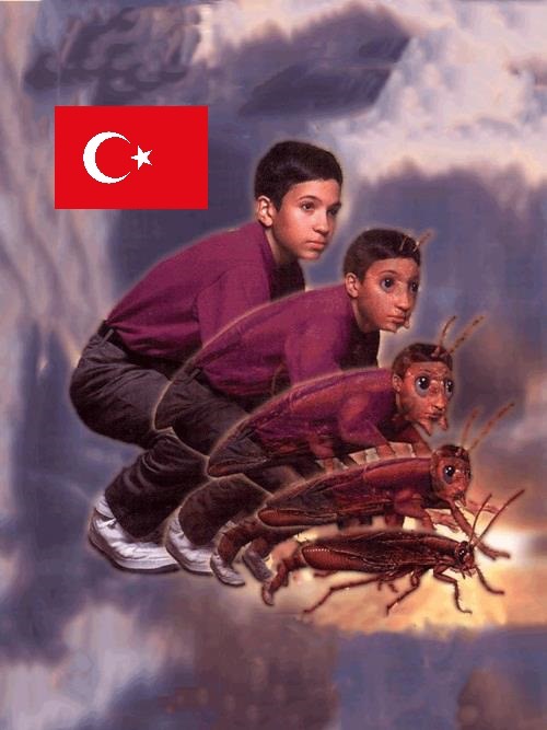 Sabias1371's tweet photo. @1NCONcsgo Is this you? t*rkish cockroach https://t.co/RkVAGbb530