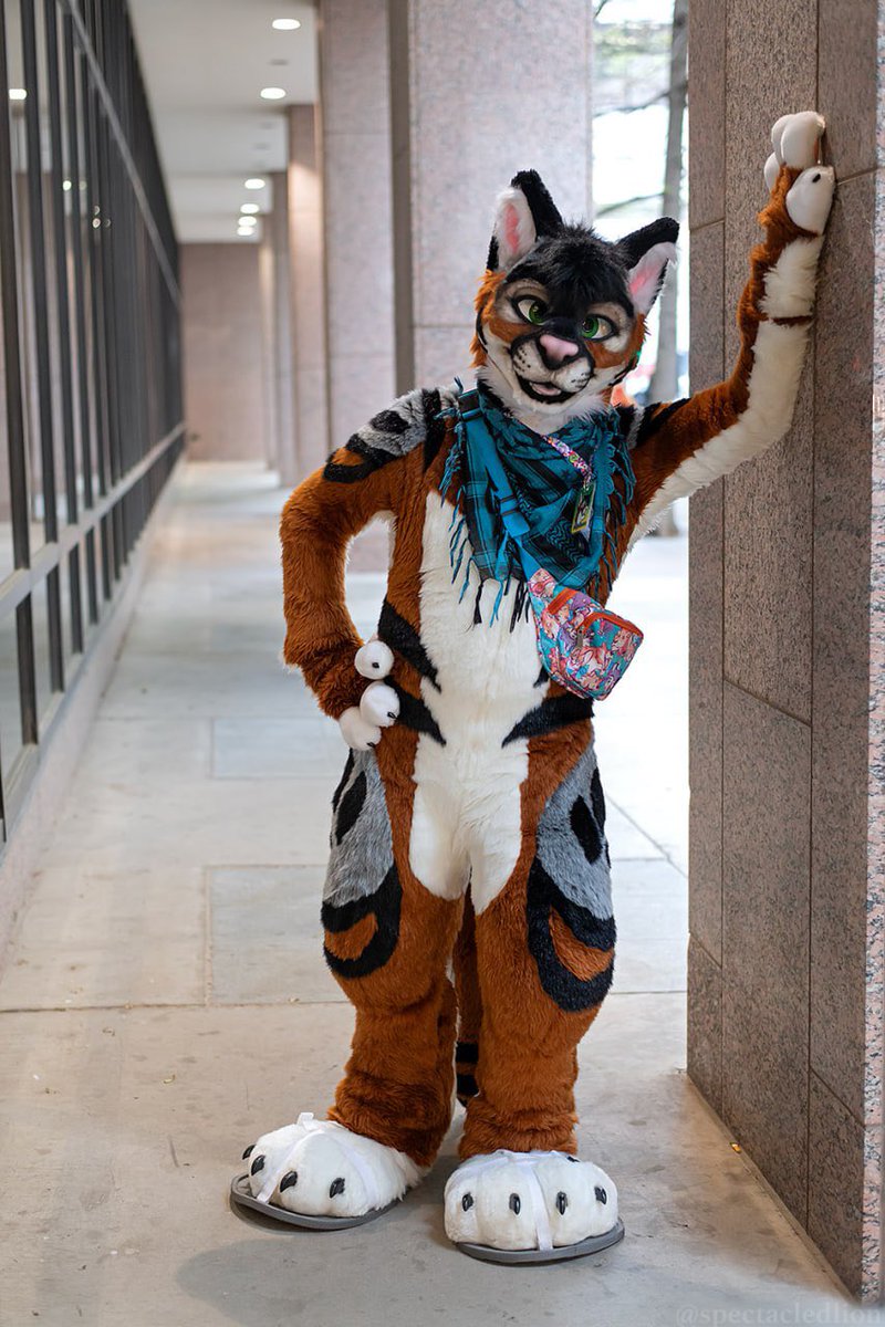 AlPhoxTiger 🔜TFF tweet media