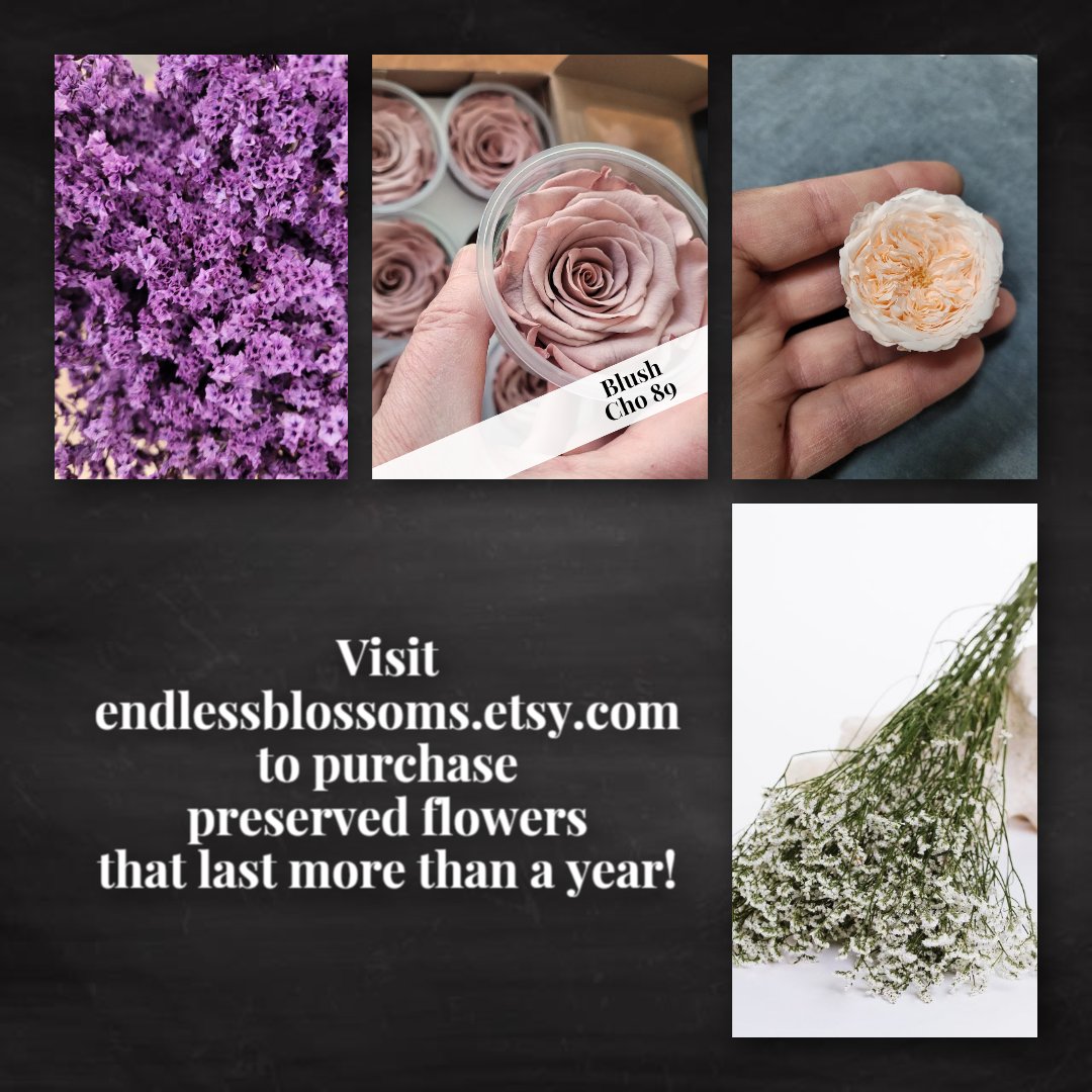 endlessblossoms.etsy.com Shop small USA business for the finest quality preserved roses and supplies #roses #foreverrosesroses #momgiftideas #preservedroses #mothersdaybox #iloveyoubox #flowerbox #miniroses #smallpreservedroses #preservedflowers #flowerbunches