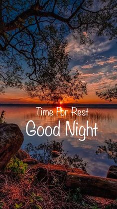 Assalam O Alaikum
   Good Night 
To All X Family Members