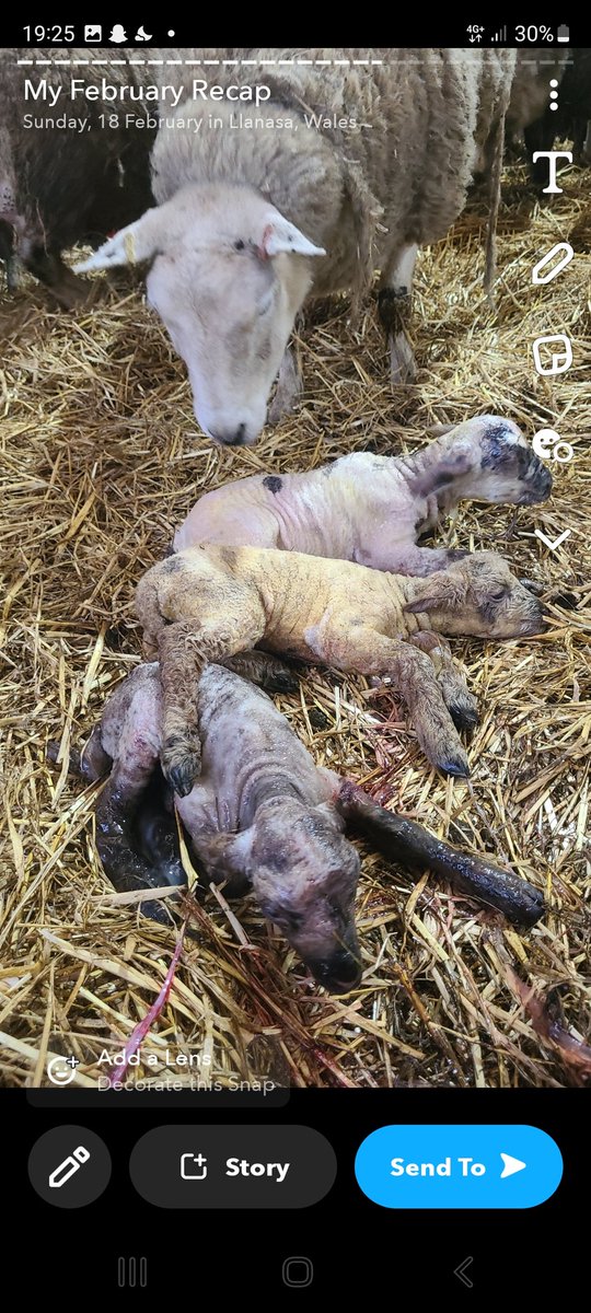 Mathew Roberts tweet media