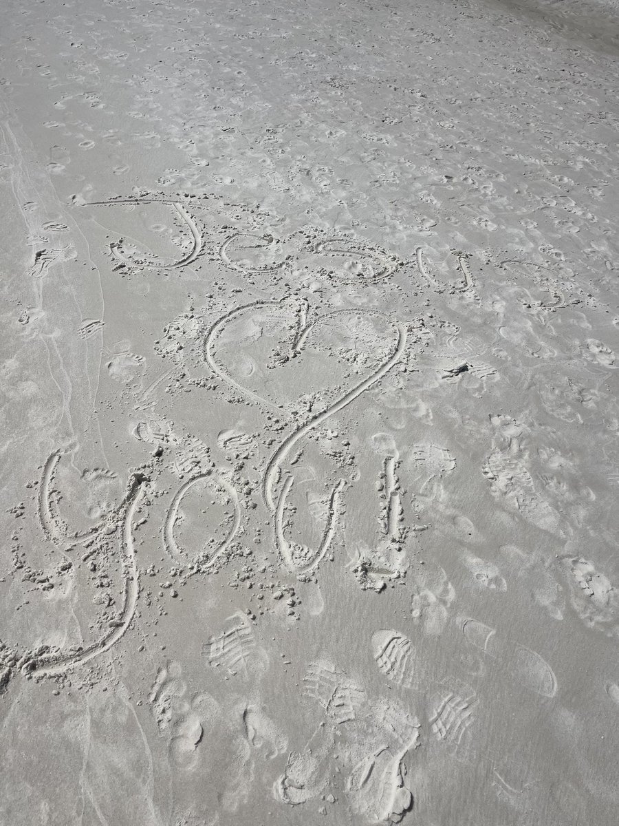 Wendi A. Irlbeck MS, RDN, LD, CISSN tweet media