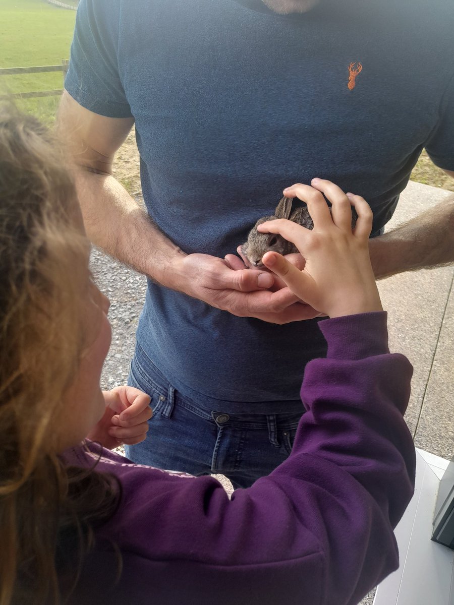 We saved this wild bunny from link the cat. Happy good Friday indeed! We named her Esther