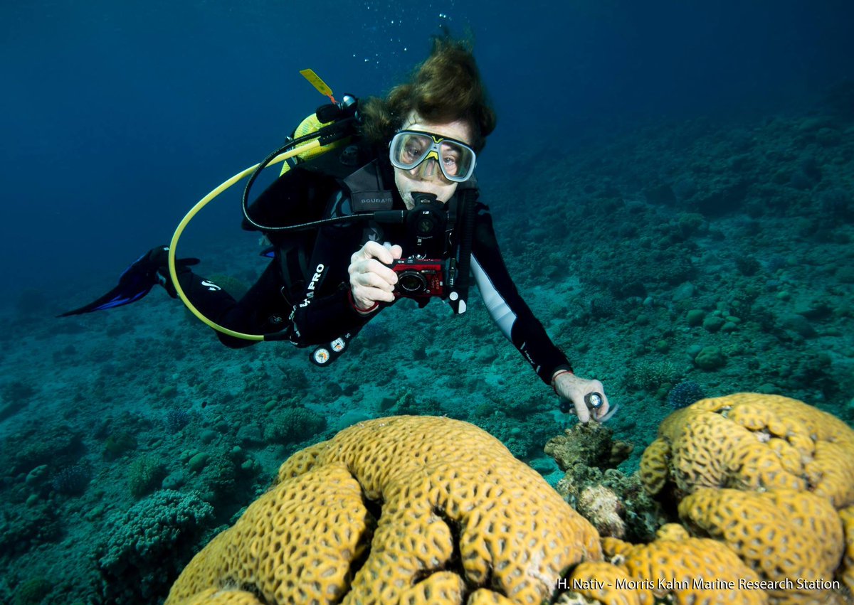 Want to attend a free program 3/30 at @smithsoniannpg highlighting the career of @NatGeo Explorer at Large @SylviaEarle? Of course you do! We'll screen short DEEP TROUBLE and Her Deepness will be in conversation w/@washingtonpost's @_allysonchiu. RSVP: dceff.eventive.org/schedule