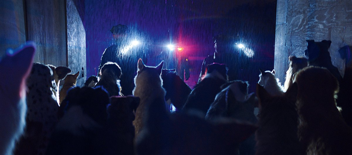 ICYMI at #SIFF2024 | Our Closing Night film--the high octane action thriller @lucbesson's #dogmanfilm from @BriarcliffEnt -- is now in select theaters starting today.