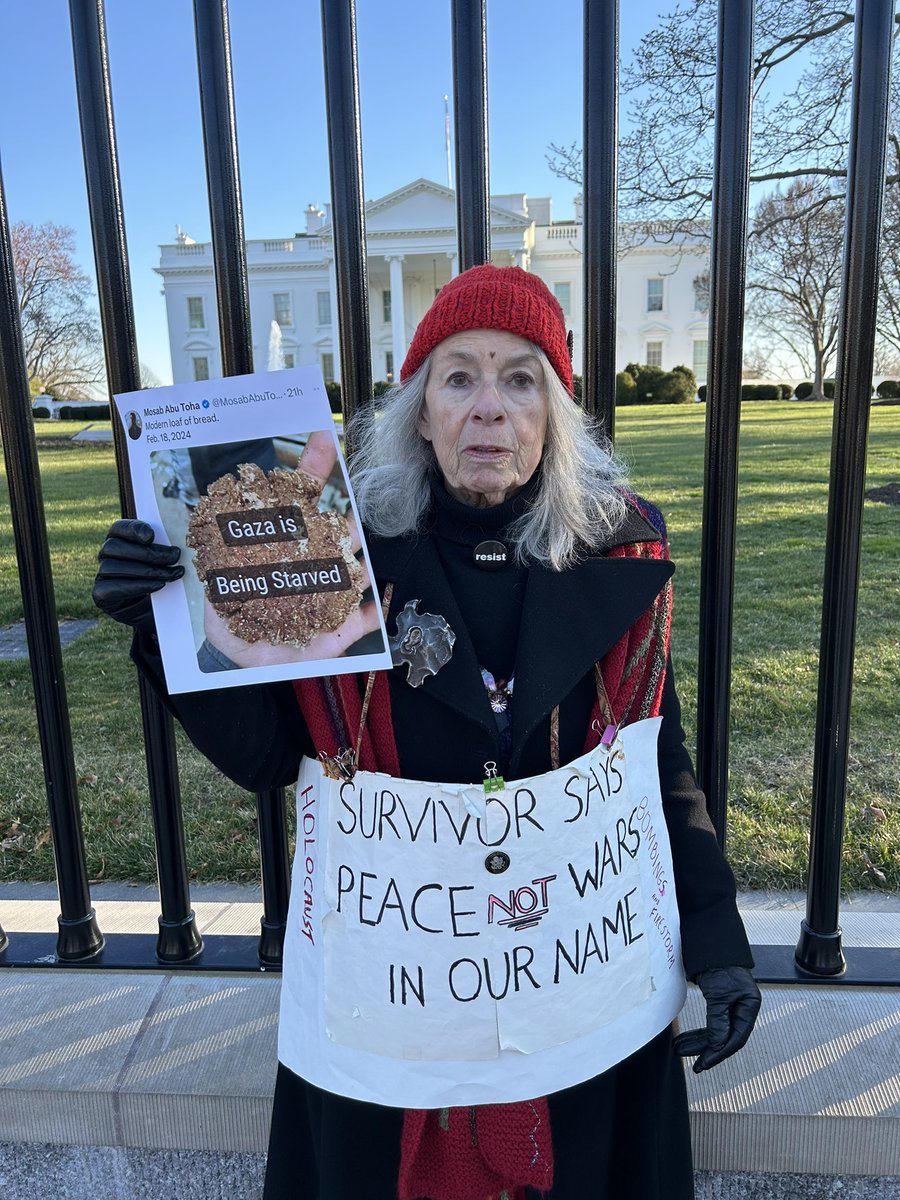 I have been trying for months to get politicians to meet with Marione Ingram. A child survivor of war and brutal bombings, who lost most of her family to the Holocaust. She is nearly 90 and has been protesting for peace nearly every day at the White House.