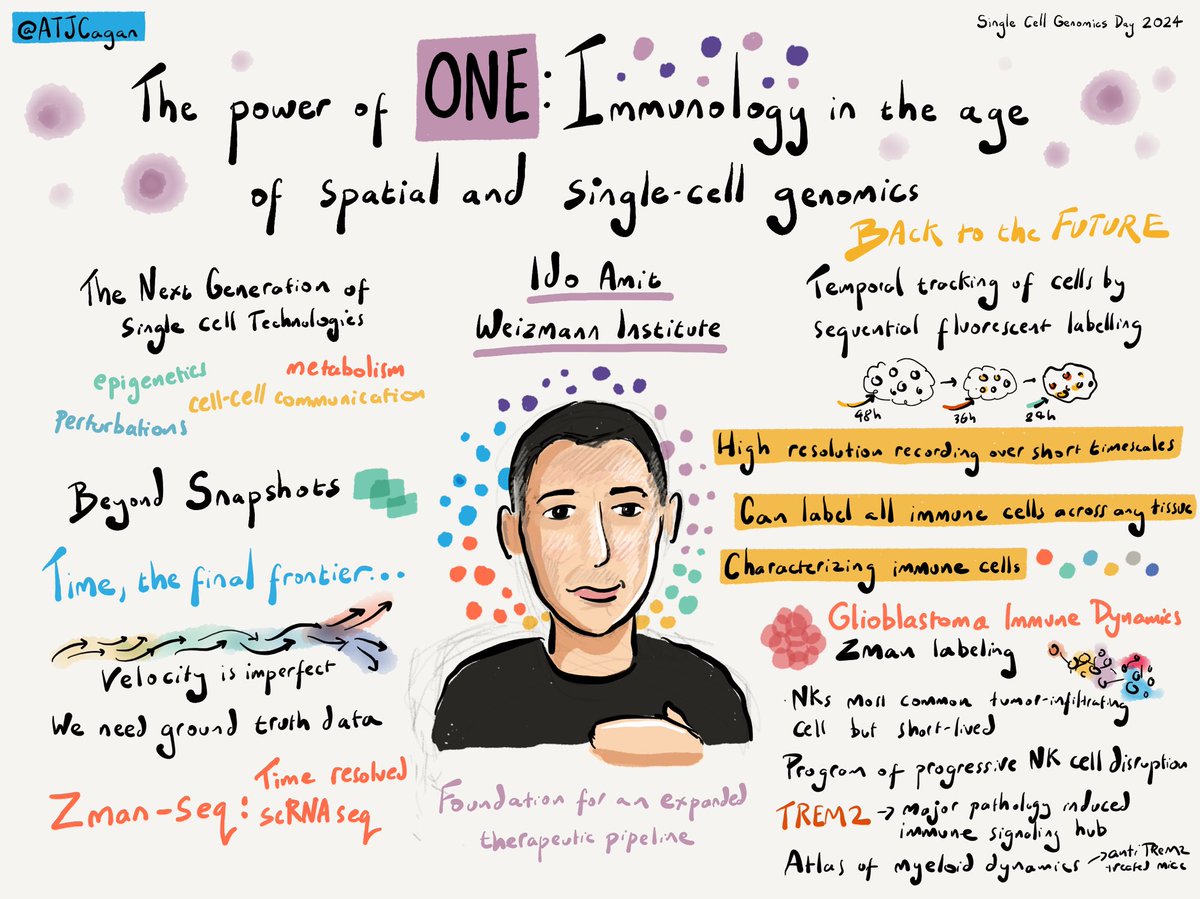 Great talk from @IdoAmitLab on Zman-seq; tackling time in spatial and single-cell genomics #singlecellgenomicsday