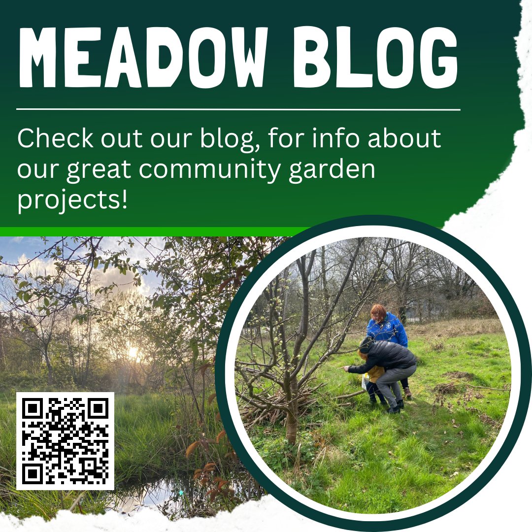 We now have a blog on the Meadow Orchard Page! It's never been easier to find out more about all of the amazing projects we are working on! Scan the QR code or click the link below: meadoworchard.org/blog