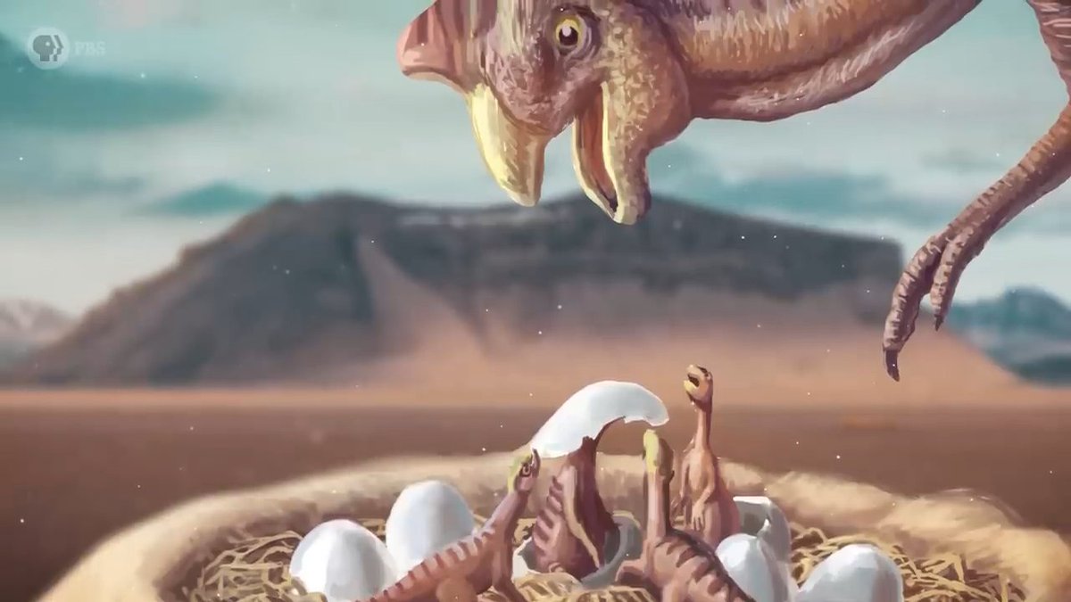 Egg hunt? Oviraptors are literally named for it! But what at first appeared predatory was actually protection. Learn more about dinosaur parenting behavior with our episode The (Ovi)Raptor That Paleontologists Got Wrong. youtu.be/27Ss4CdGkDk