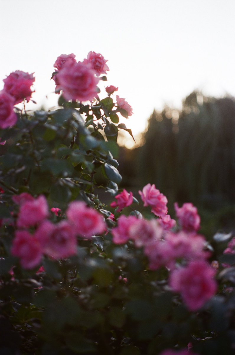 officesevenn's tweet image. 