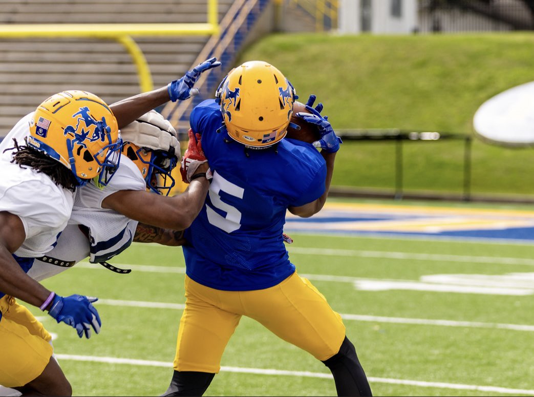 Safe and Healthy Spring!✝️ Progression and Elevation.