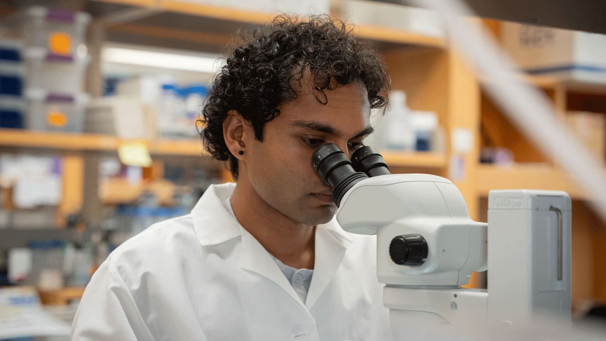 Former college track star turned UMass Chan MD/PhD student Akshay Alaghatta is researching the body’s first line of defense in the @RPWLab. Learn about life as an MD/PhD student during an info session on Monday, April 8, at 4 p.m. Register: direc.to/k3PE @UMassMDPhD