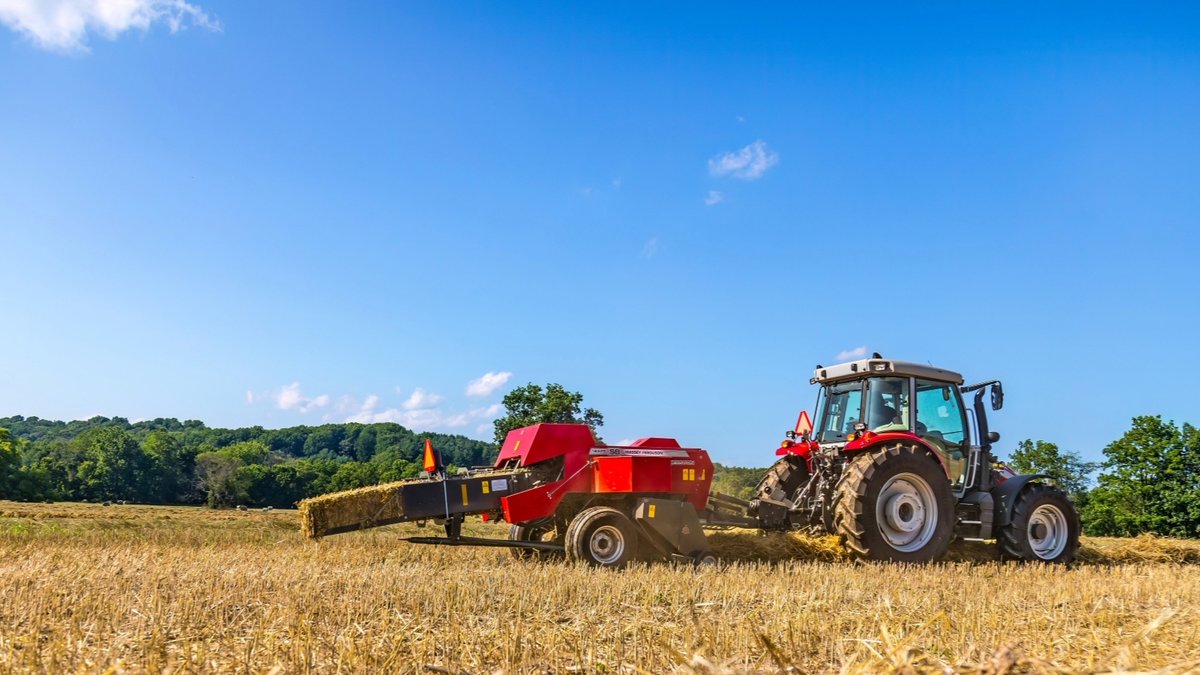 In-line design and high-quality bales. The Hesston by #MasseyFerguson 1800 Series small square baler is here to max out your ROI. Learn how: bit.ly/3T67MZV #MFHayEqupiment