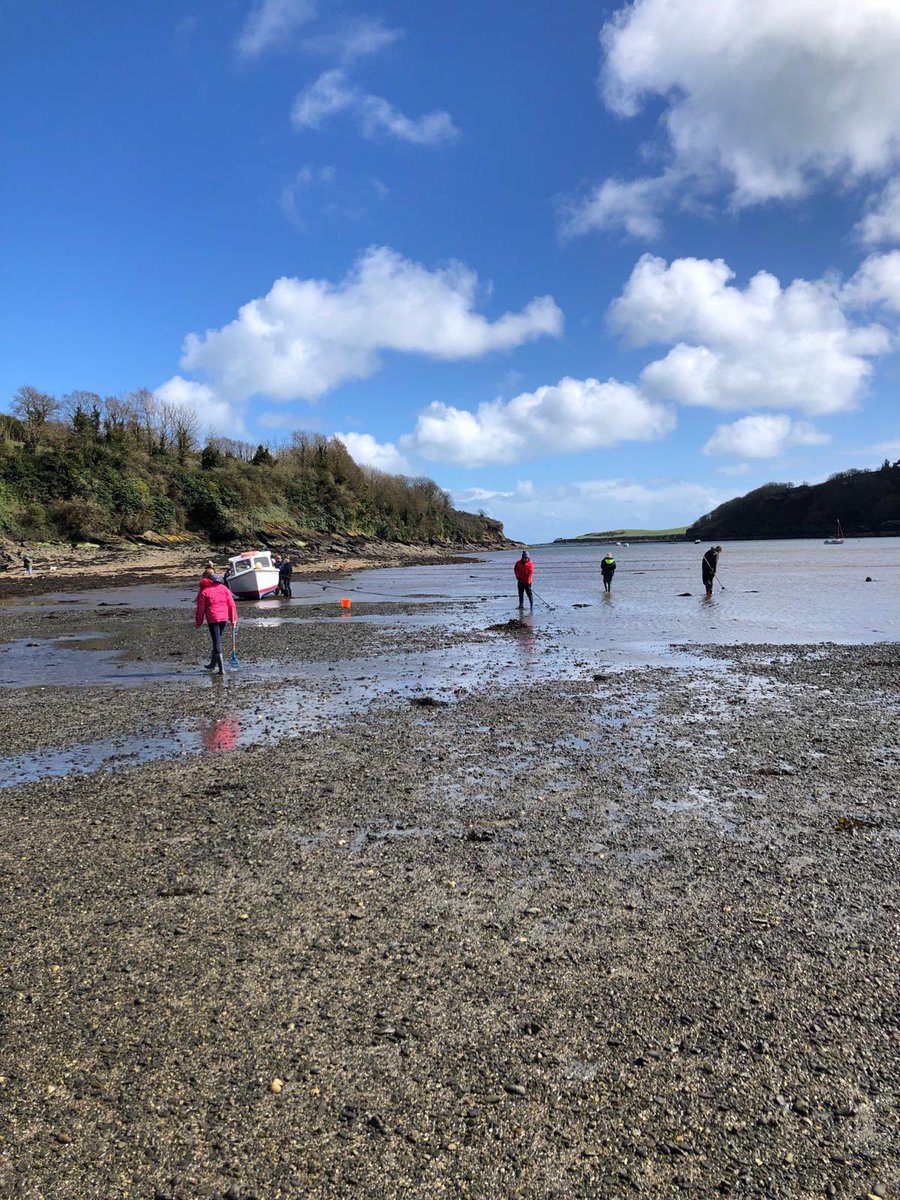 I may not have got down to the #Helford river to go #trigging today - but my children managed to keep up the #GoodFriday tradition … and only the one #rain shower! 👍🏻 #Cornwall #cocklepicking #tradition #Easter