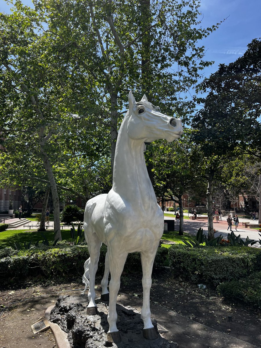 Gerald Corporal tweet media