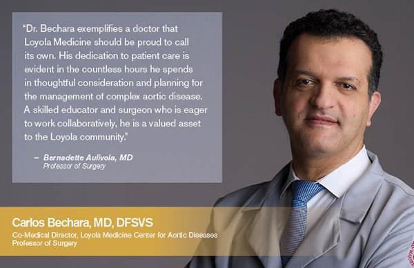 Loyola Vascular Surg tweet media