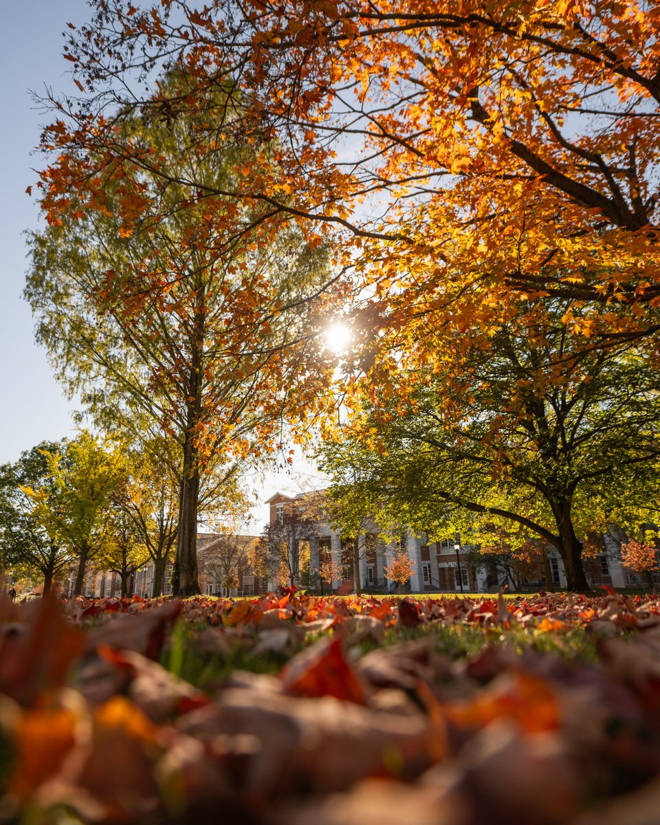 🍂 POV: You step onto campus for the first time next fall, filled with excitement and endless possibilities. #DePauw #FallVibes