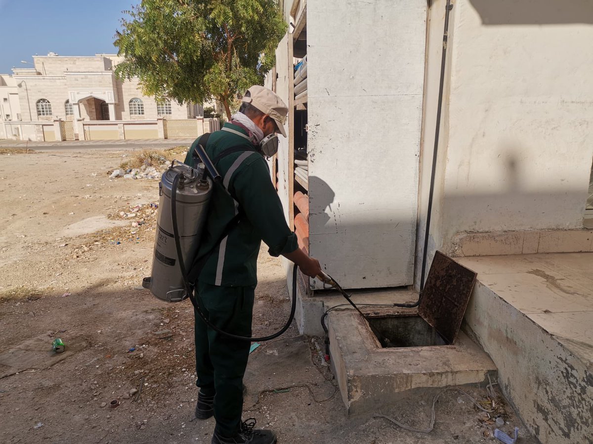 أتقدم بجزيل الشكر  إلى رئيس البلدية ولفريق العمل على الجهود الجبارة في إجراء عمليات رش المبيدات وتنظيف الاحياء السكنية بصلالة هذا العمل يعكس حرصكم على صحة وسلامة سكان المدينة، ويسهم في حماية  المواطن من المخاطر الصحية ونقدر تفانيكم في خدمة المجتمع

#بلدية_ظفار
<a href="/Ahmed_Ghassani/">Dr Ahmed Al Ghassani.            د احمد الغساني</a>