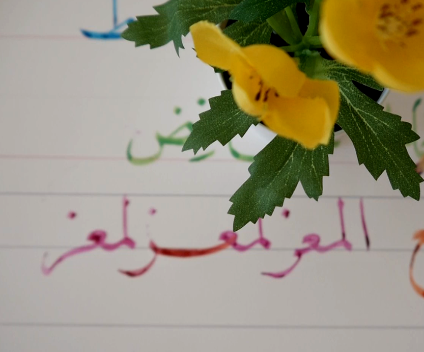 Ali Kianmehr (@ali_kianmehr) / Posts / X