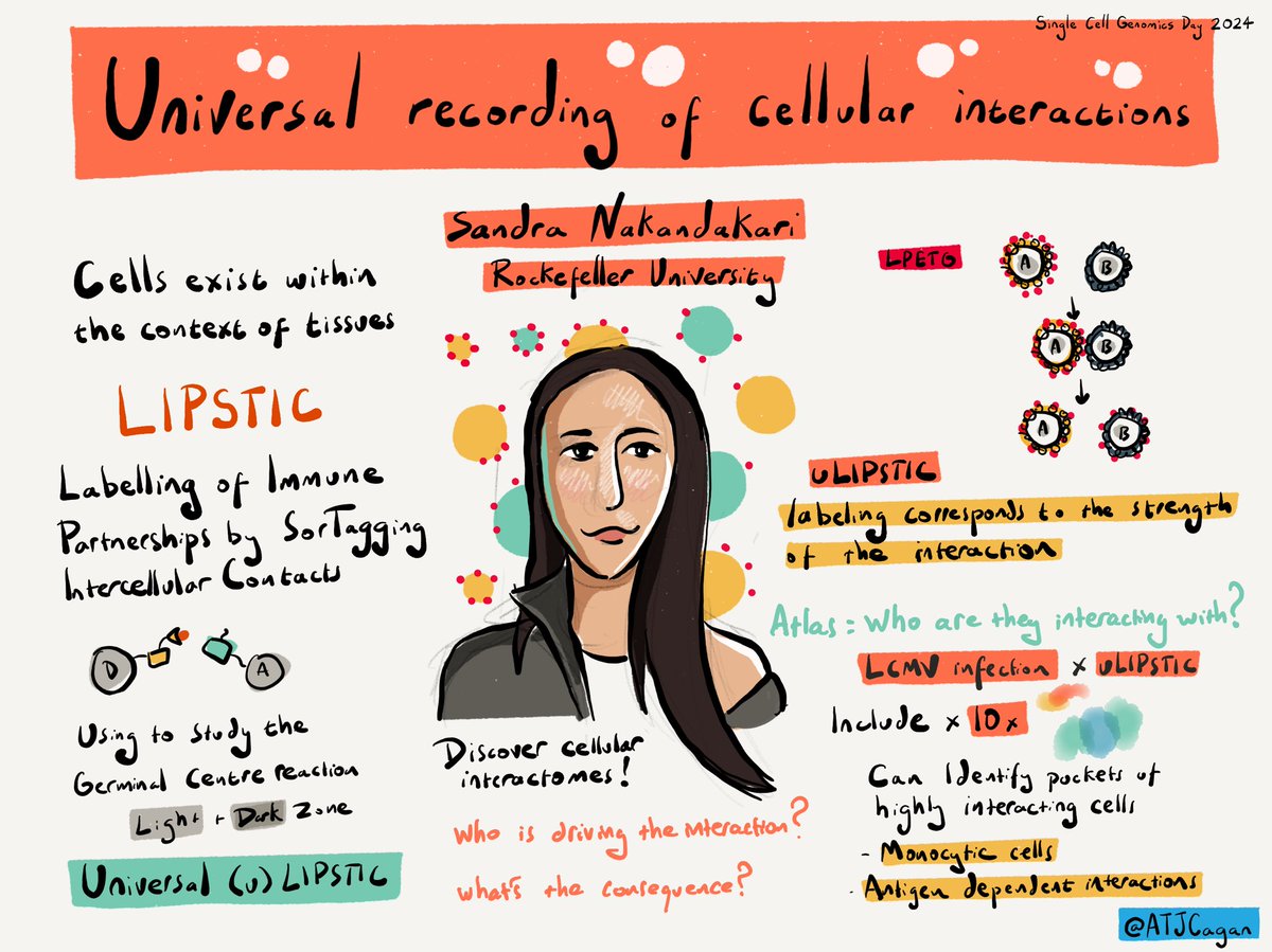 Great talk by Sandra Nakandakari on LIPSTICK- a universally applicable method to record cellular interactions via spatial proximity #singlecellgenomicsday