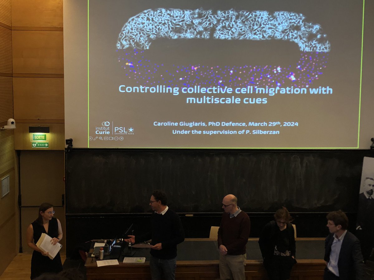 Laurent LE (@le_laurent_) on Twitter photo Stunning PhD defense of <a href="/CaroGiu/">Caroline Giuglaris</a> about collective cell migration under the supervision of P. Silberzan at <a href="/institut_curie/">Institut Curie</a>, I was amazed by these wonderful videos of moving cells. Very pedagogic and nice presentation and amazing science! Congratulations 🥳 Stunning PhD defense of <a href="/CaroGiu/">Caroline Giuglaris</a> about collective cell migration under the supervision of P. Silberzan at <a href="/institut_curie/">Institut Curie</a>, I was amazed by these wonderful videos of moving cells. Very pedagogic and nice presentation and amazing science! Congratulations 🥳