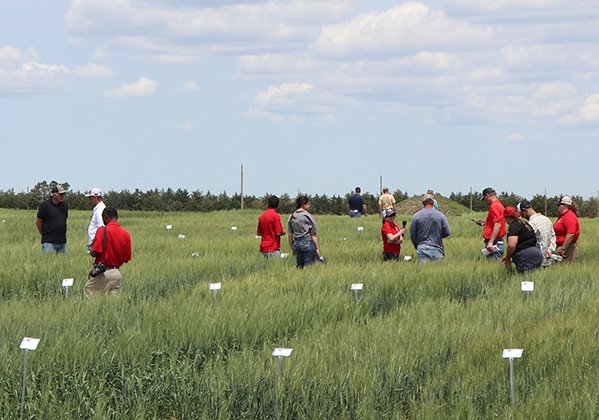 UNL Ext-Panhandle (@unlextpanhandle) on Twitter photo The Nebraska Extension has announced the 2024 UNL Wheat Variety Tours scheduled in June. <a href="/UNLExtension/">Nebraska Extension</a>
preec.unl.edu/2024-universit… The Nebraska Extension has announced the 2024 UNL Wheat Variety Tours scheduled in June. <a href="/UNLExtension/">Nebraska Extension</a>
preec.unl.edu/2024-universit…