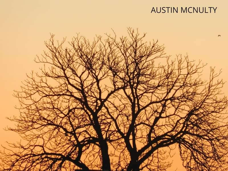 Tree sunrise 🌄

#shareyourweather @NikonCanada @weathernetwork 

St Thomas Ontario

Nikon p900