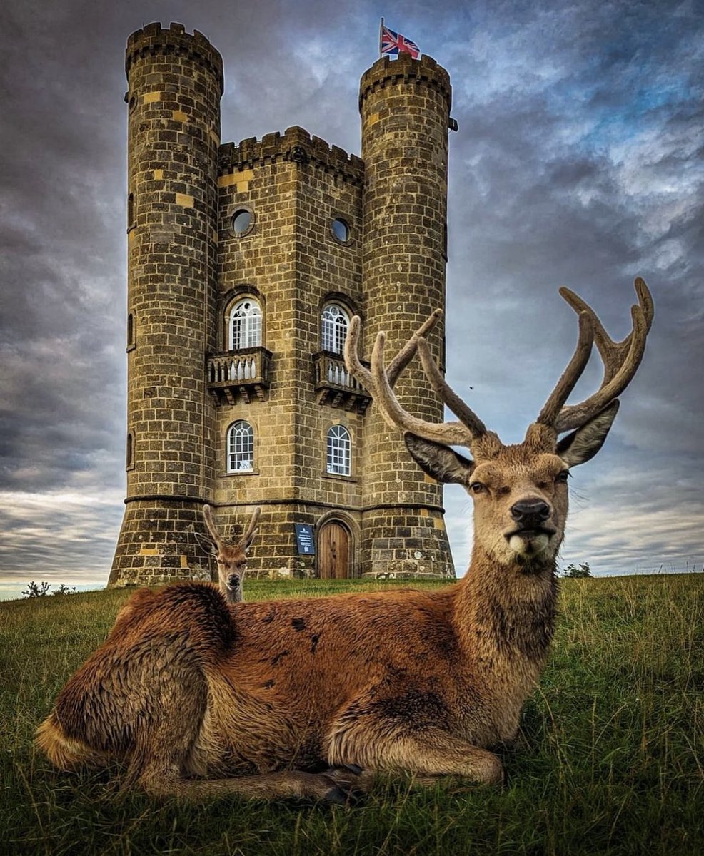 @vincentwright.photos
Location: #broadwaytower #thecotswolds #england