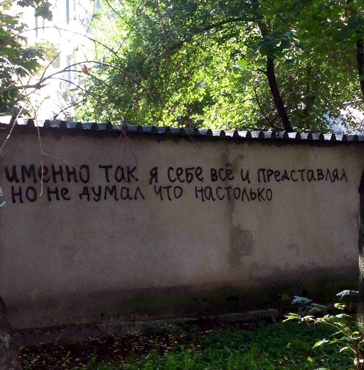 stenagovorit's tweet photo. https://t.co/zgdWYjmJNV