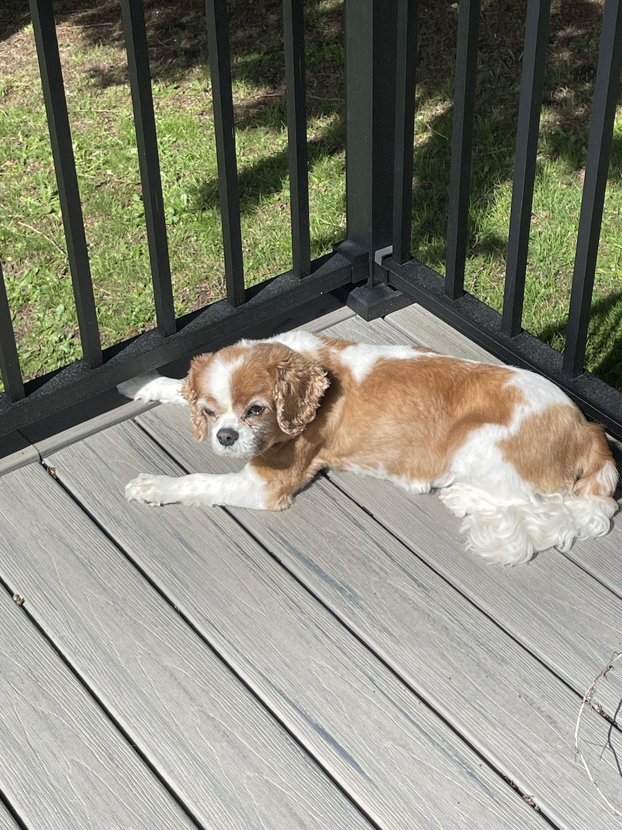 The sun came out and Lexi is very happy!