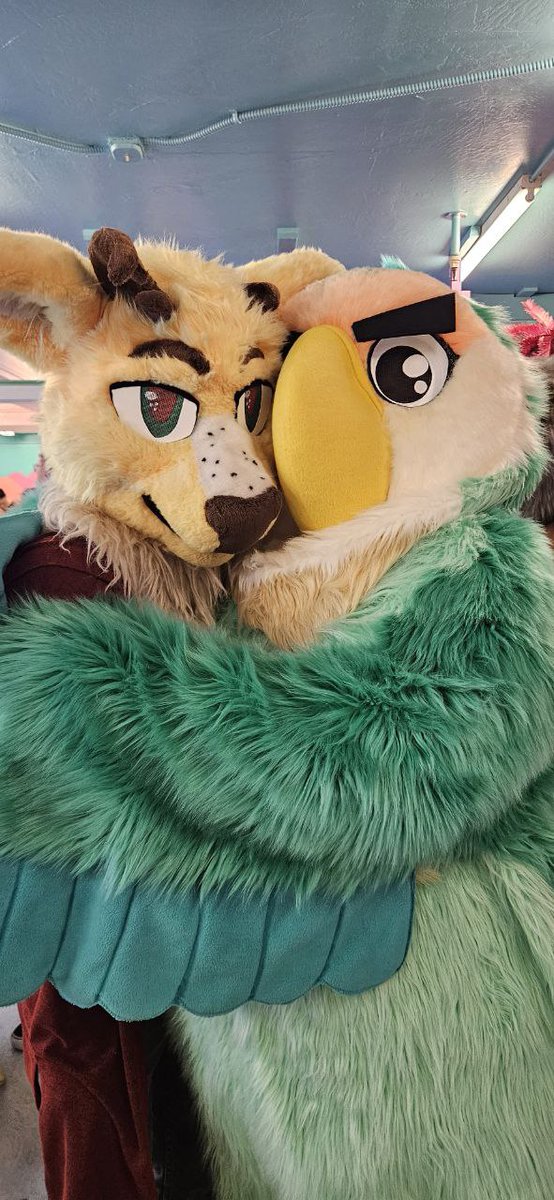 HotSpaceDAD86's tweet photo. Happy #FursuitFriday! Sharing some fursuit moments with friends that I hadn't shared here yet 🫂❤️

SammyKaiju
@Lutofisk 
@sketchagon
@orangezyest
@sparklingotter https://t.co/fxKYs9pM3h