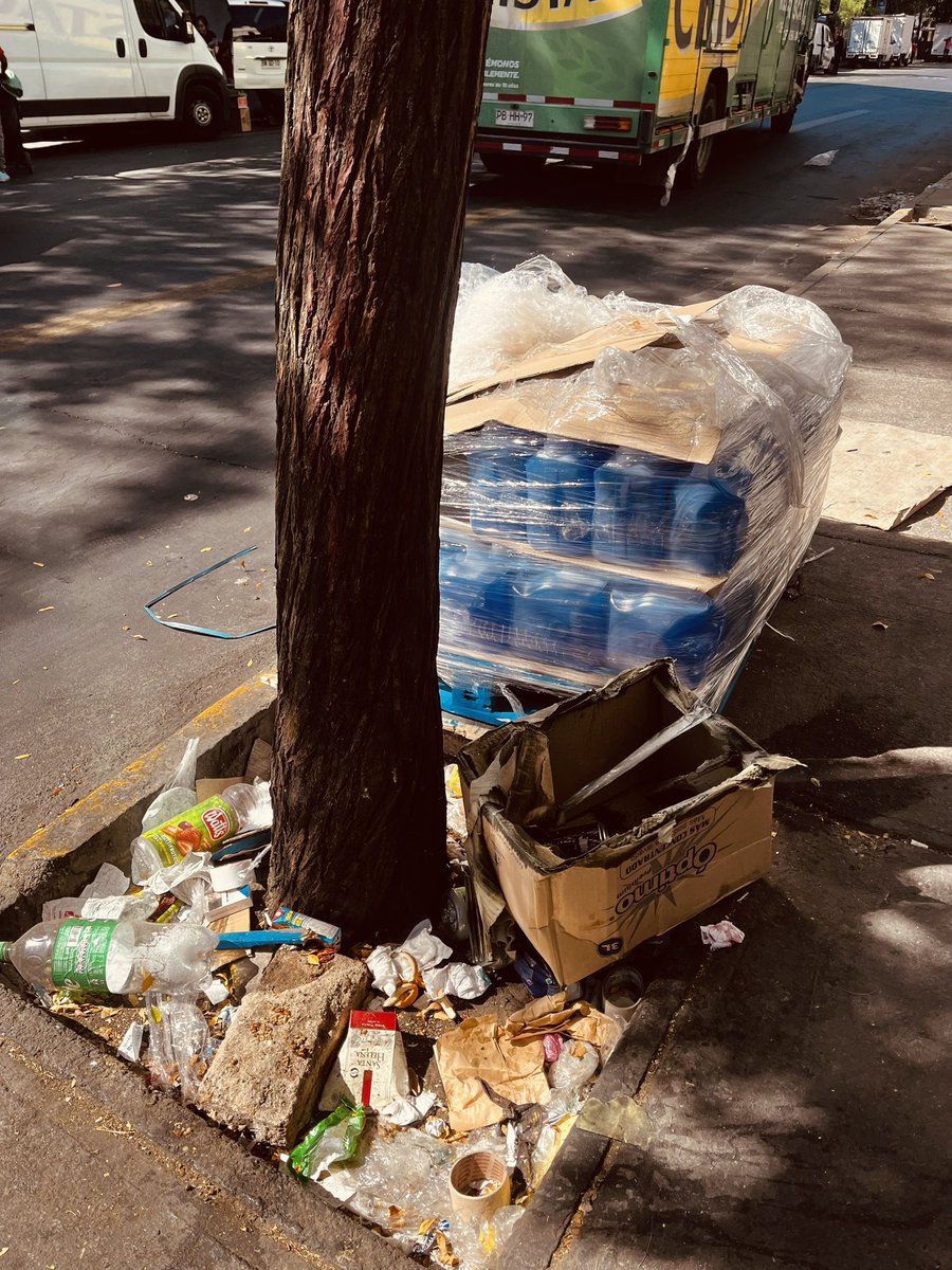 Así lucen las tazas de los árboles en Avenida San Pablo desde Matucana. Por años es igual. La degradación del espacio público, por administraciones permisivas e inútiles que no les interesa la calidad de vida de l@s vecin@s. <a href="/Muni_Stgo/">Santiago</a>