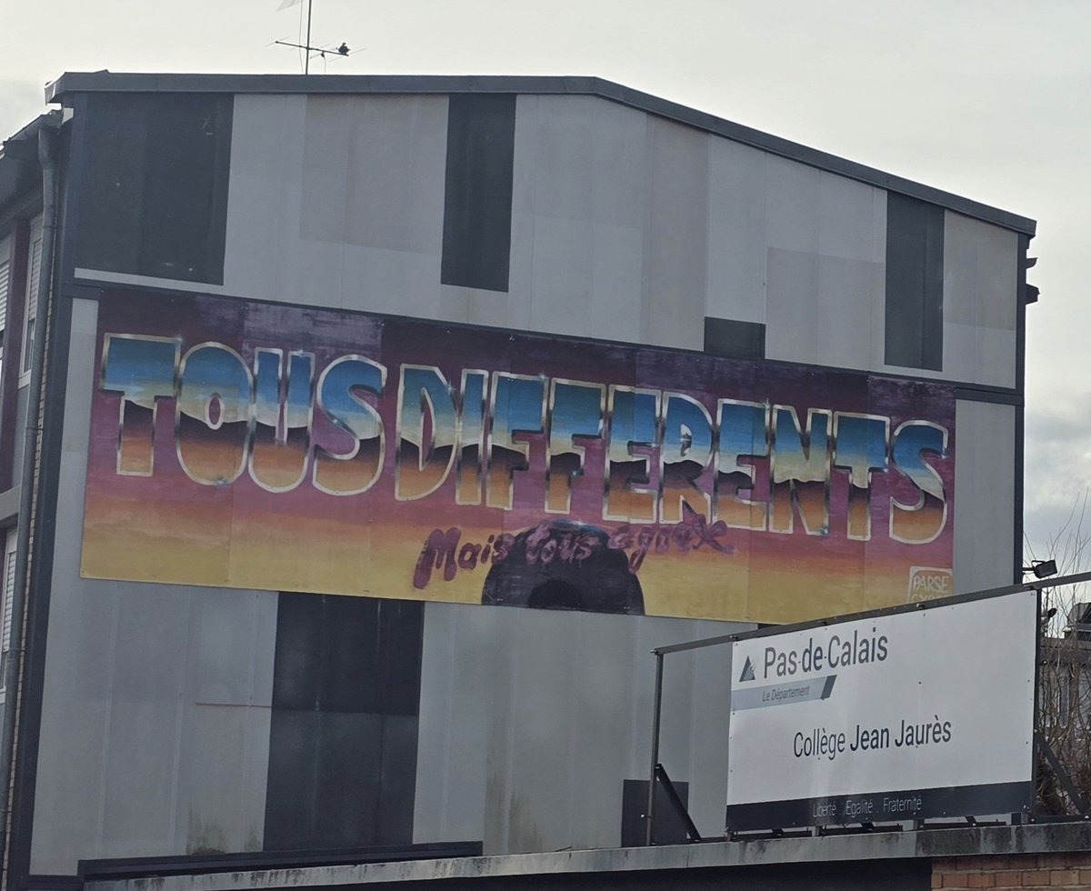 Première réunion du groupe de travail départementale 62 autour des AESH. Dynamique de partage des ressources et des expériences des 3 circonscriptions ASH du département pour un meilleur accompagnement des jeunes à #BEP #pdei62
#dsden62 #ecoleinclusive