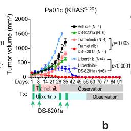 Elegant work in @NatureComms -- Another great collaboration @WashUOnc @WashUSurgery @wusm_pathology Combined KRAS-MAPK pathway inhibitors and HER2-directed drug conjugate is efficacious in pancreatic cancer ncbi.nlm.nih.gov/pmc/articles/P…