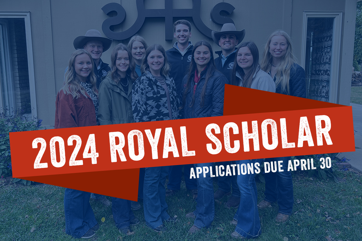 There's one month left to apply to be a 2024 Royal Scholar! The program is designed to provide an opportunity for outstanding college students to represent the American Royal mission and advocate for the agriculture industry. Apply here by 4/30 👉🏻 bit.ly/RoyalScholar