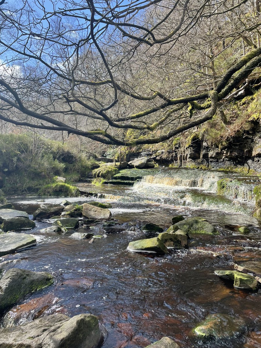 amybooth896's tweet photo. Escaped to the hills for a weekend of walking and wildlife 🥾 Luckily ended up with the best pod right next to the lake👌🏻🦆 https://t.co/iDP76MxBdn