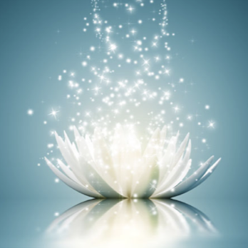 Shine by Mark LeCornu #HealingPurrsPawty youtu.be/PbLbvanaXQg