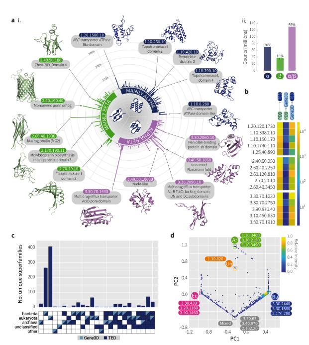 The Encyclopedia of Domains identifies over 320M structural domains in the AlphaFold Database, including many not in CATH and other PDB-based databases. @nicolabordin @iansillitoe @_judewells @ShaunKandathil @psipred