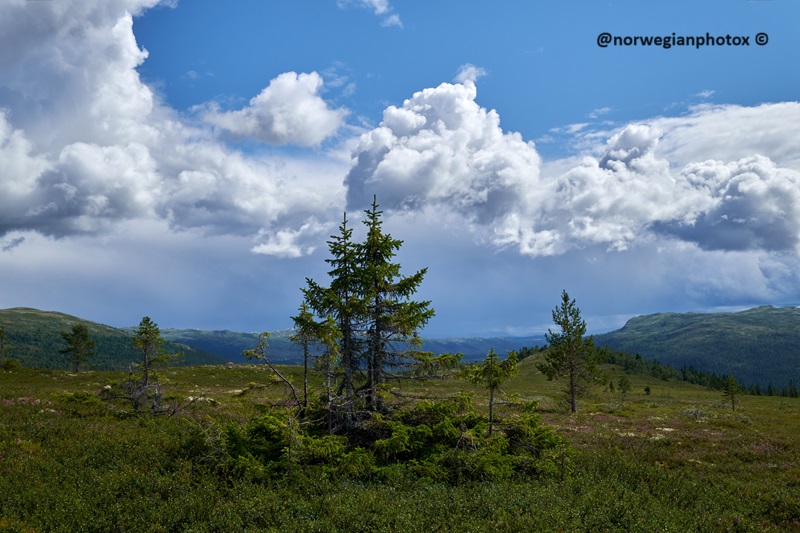 29: Cloudheaven. @norwegianphotox ©