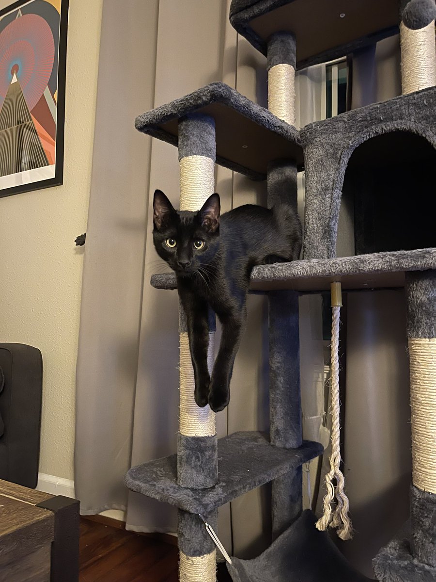 grouchbox's tweet image. 