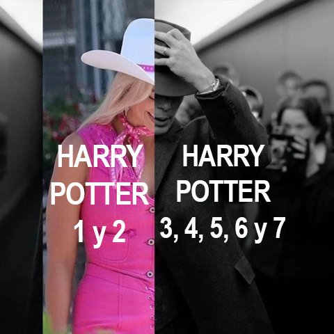 La saga Harry Potter en una imagen.