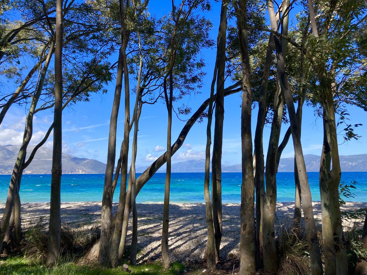 ben89661370's tweet image. Just some outrageously blue sea