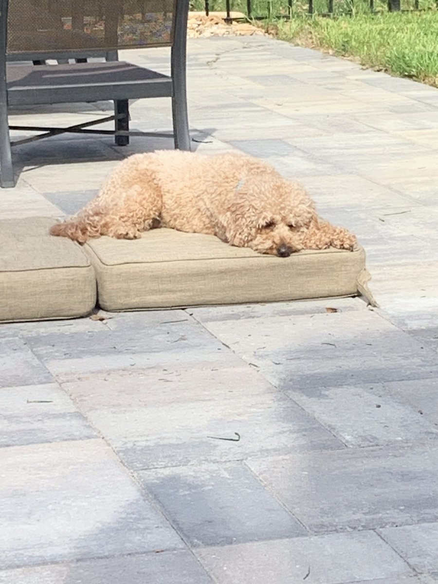 Cooper agrees, it is a perfect day in the STL.