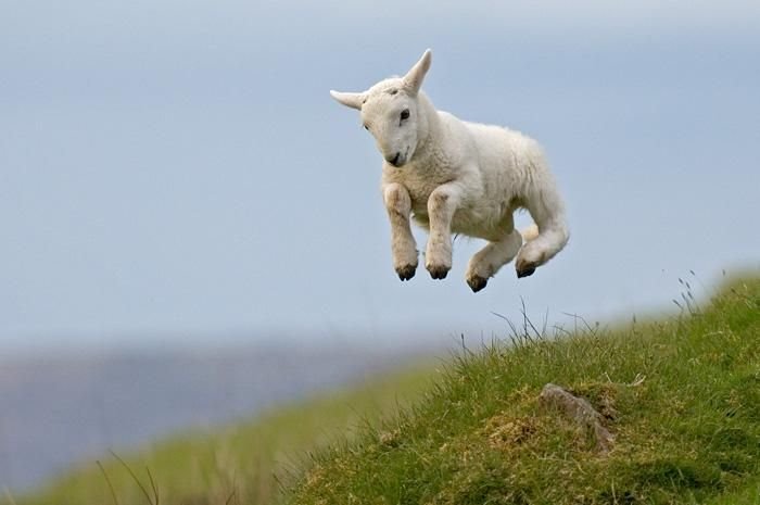 E17 Art House is CLOSED SATURDAY 30th March, re-opening Wednesday 3rd April. Hope you all have a great Easter break.