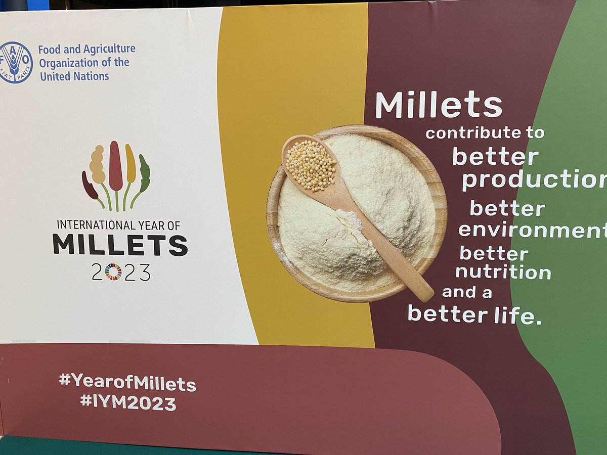 MDowlatchahi's tweet photo. Did you know? There very many types of Millets in the world! See the @FAO map. @TackoNdiaye presented the importance of Millets for women in West Africa in providing tasty, nutritious &amp; affordable meals. #YearOfMillets closed - let us continue promoting them. #4Betters #SDGs https://t.co/Urxaiyd9GJ
